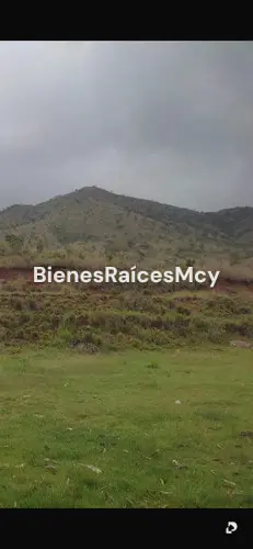 Finca en Tocuyito – 3