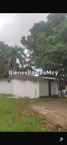Finca en Tocuyito – 9