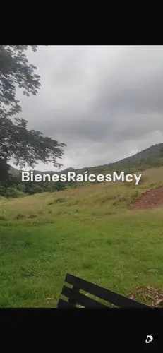 Finca en Tocuyito – 13