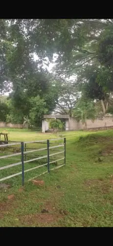 Finca en Tocuyito - 1