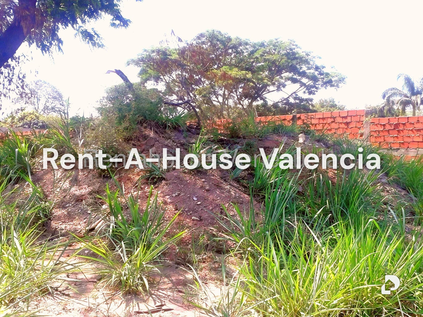 Terreno en Colinas de Guataparo, Valencia – 4