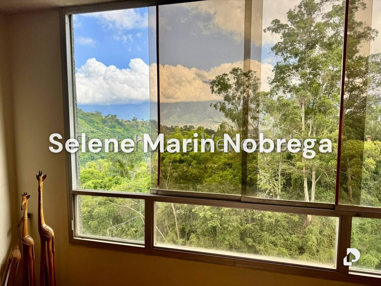 Apartamento en Los Naranjos (del Cafetal), Caracas – 18