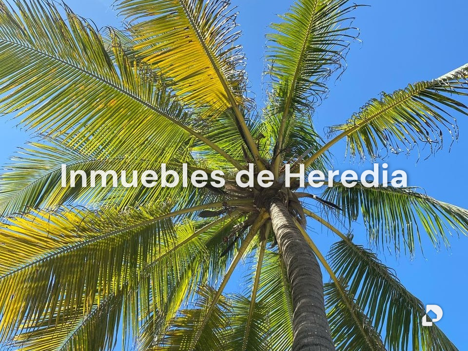 Apartment in Boca de Aroa – 6