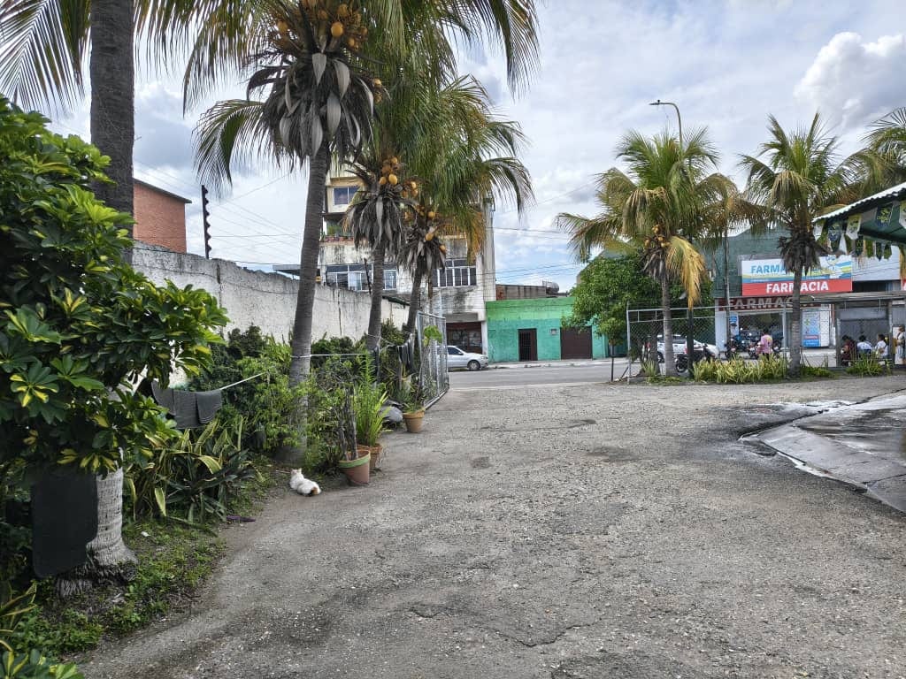 Local comercial en Barquisimeto - 1