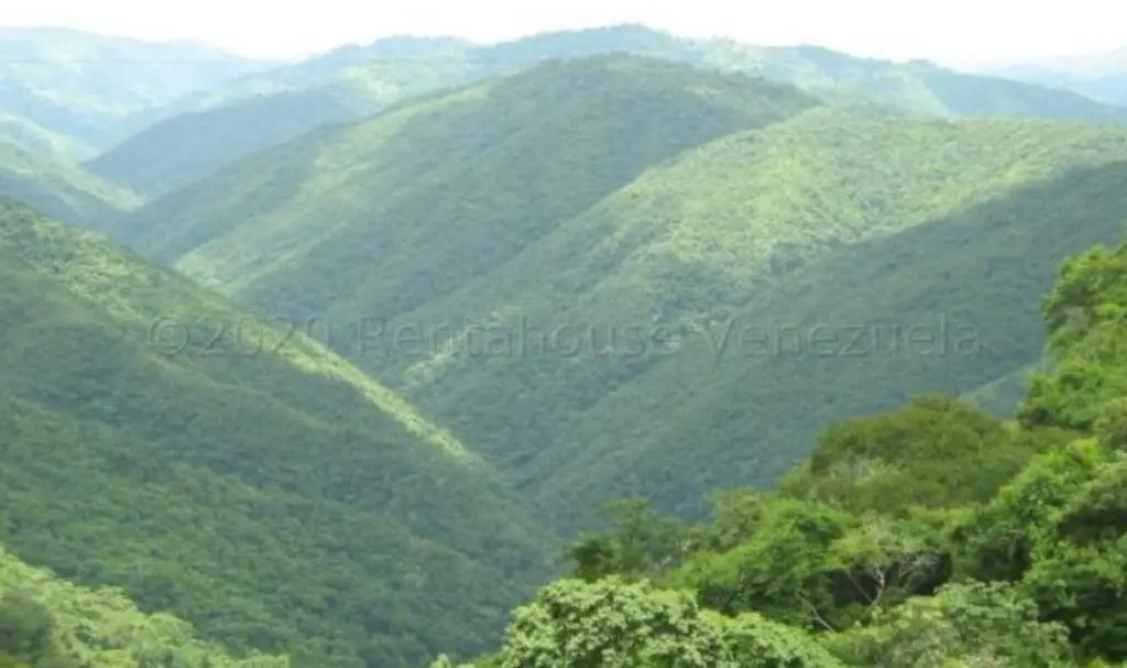 Land in El Hatillo, Caracas - 1