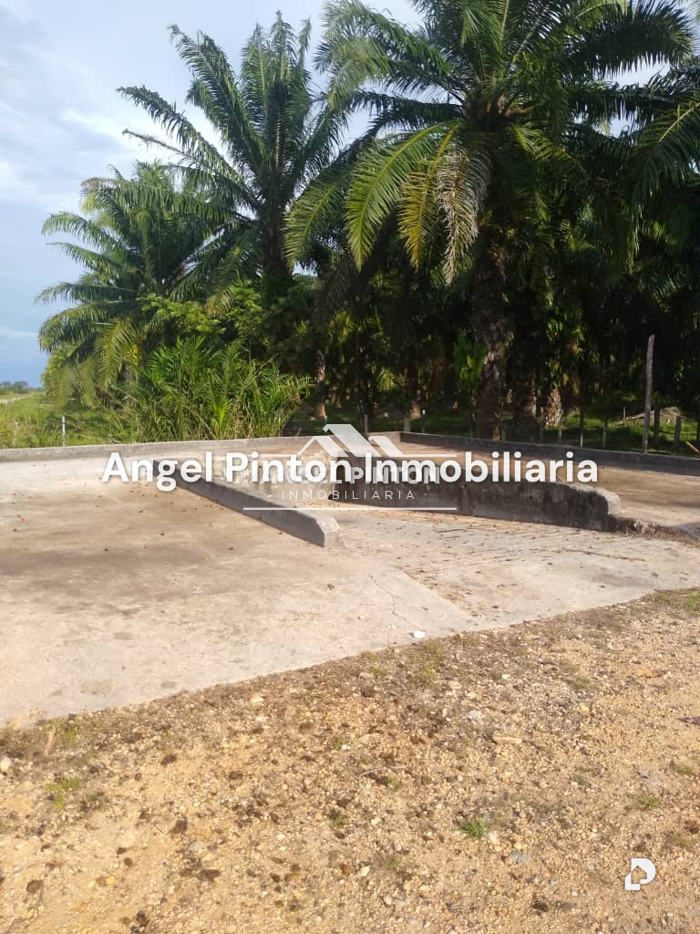 Finca en Via a Perija, Machiques – 30