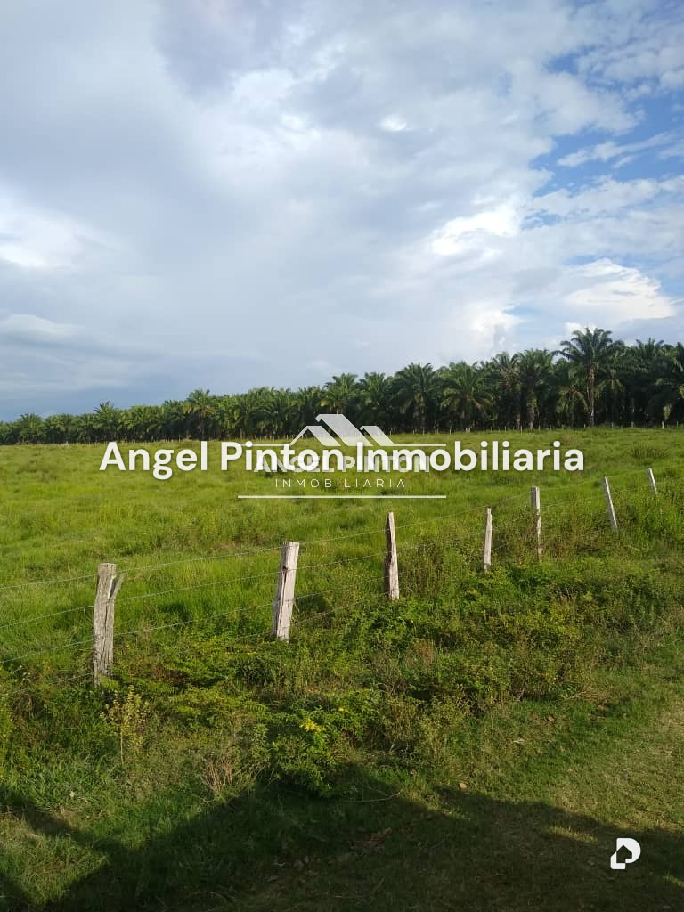 Finca en Via a Perija, Machiques – 10