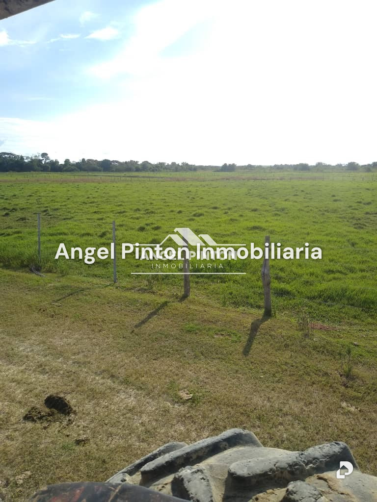 Finca en Via a Perija, Machiques – 29