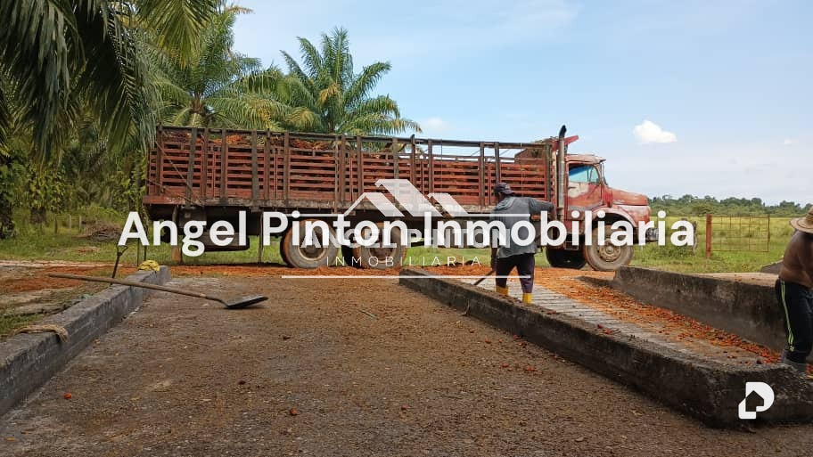 Finca en Via a Perija, Machiques – 3