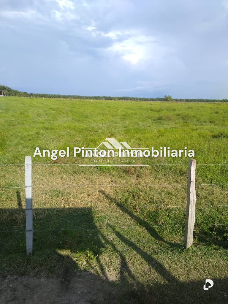 Finca en Via a Perija, Machiques – 28