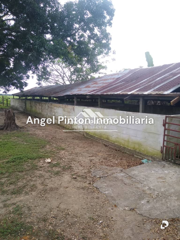 Finca en Via a Perija, Machiques – 14