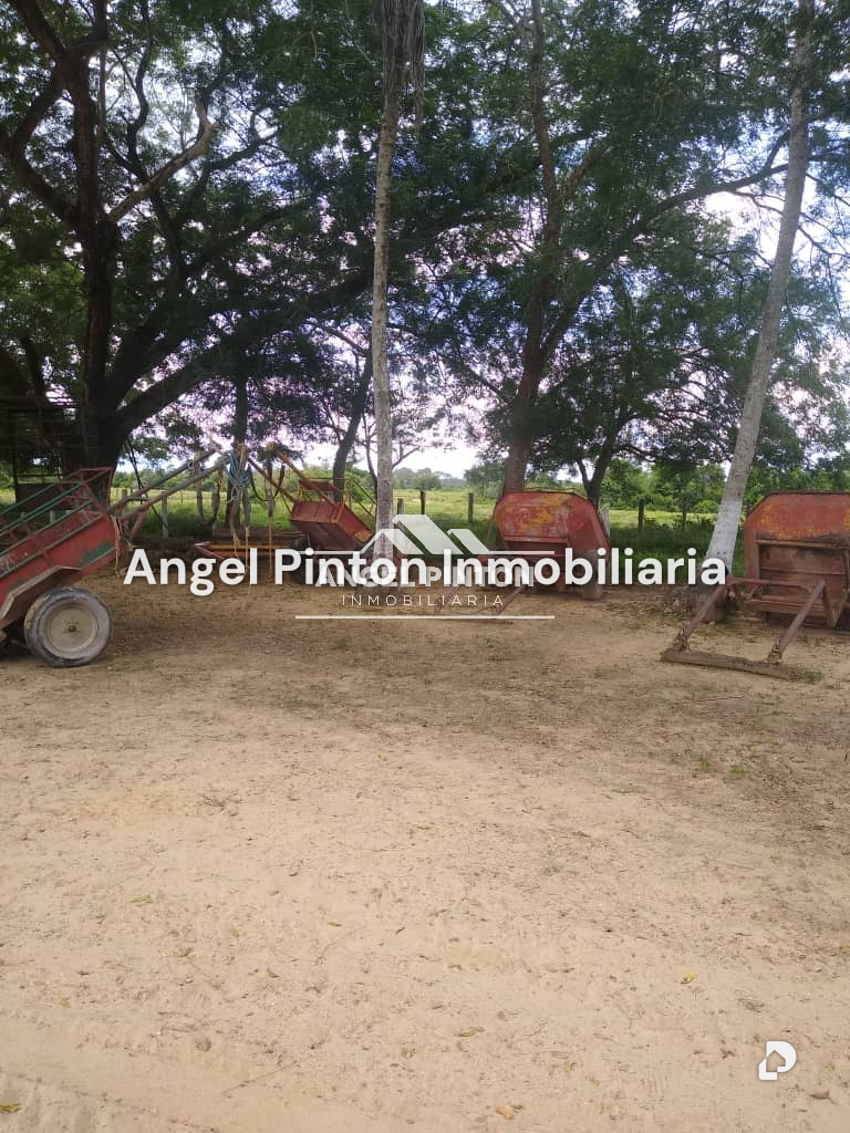 Finca en Via a Perija, Machiques – 17