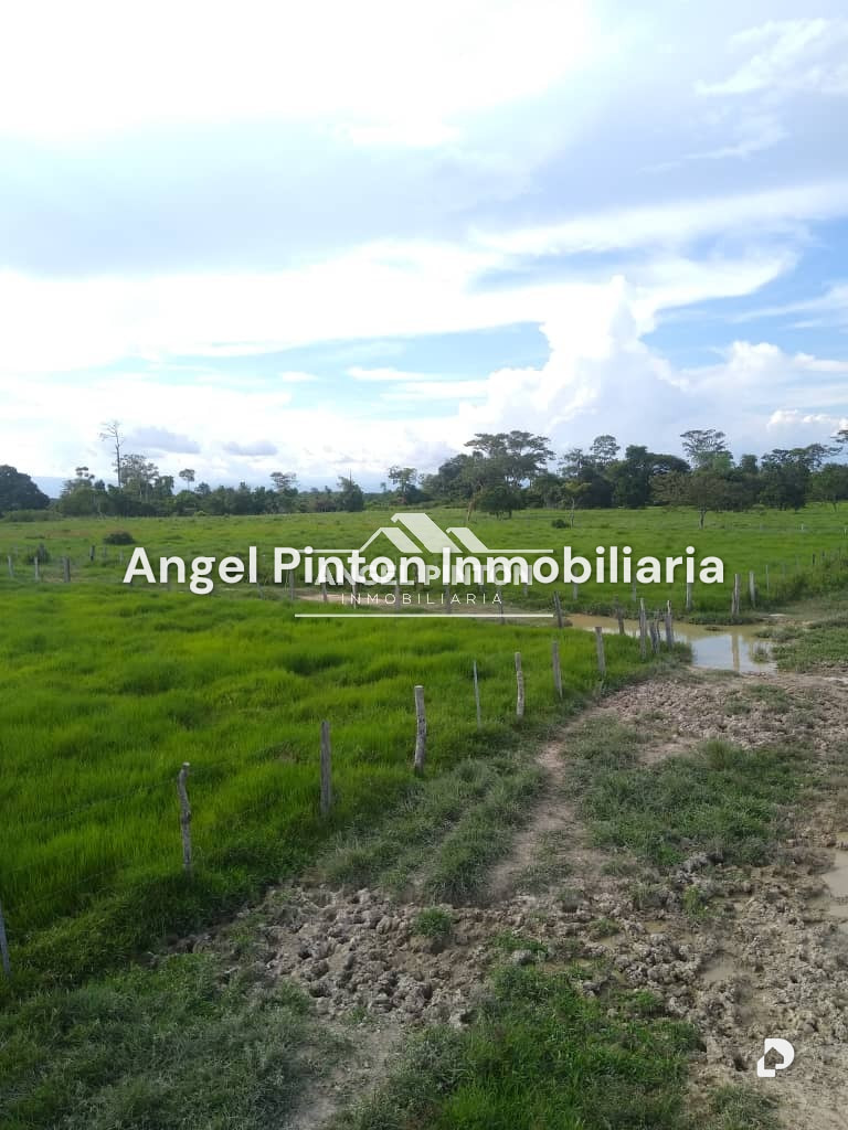 Finca en Via a Perija, Machiques – 2