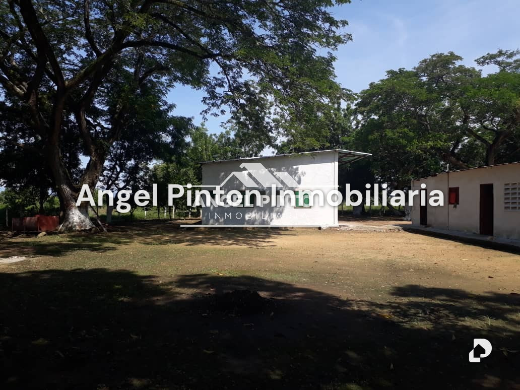 Finca en Via a Perija, Machiques – 26