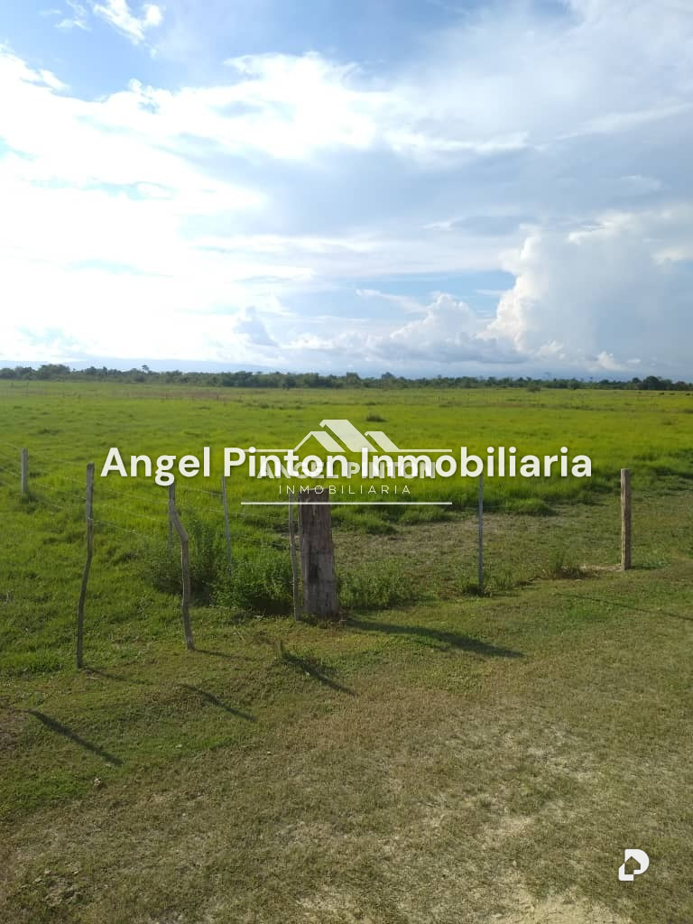 Finca en Via a Perija, Machiques – 18