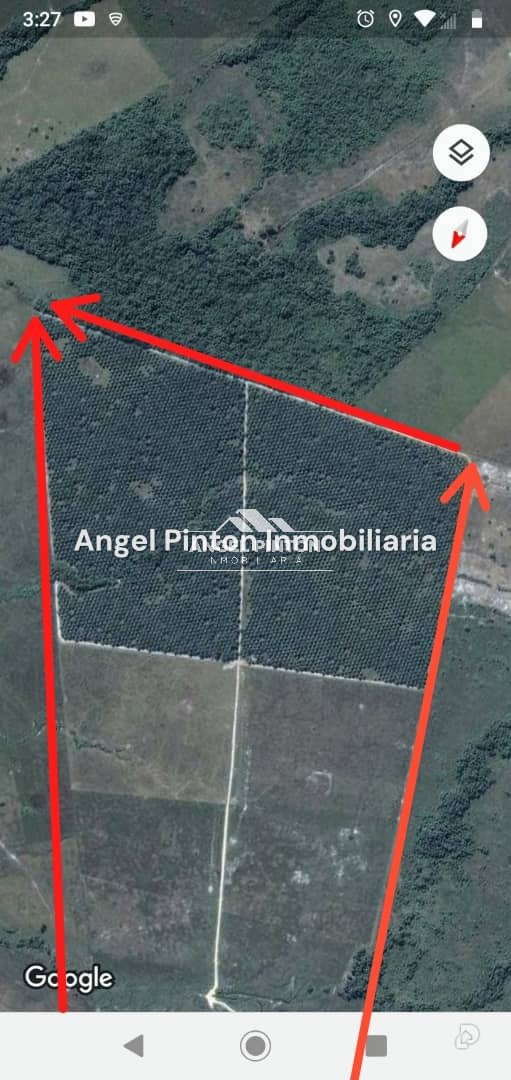 Finca en Via a Perija, Machiques – 32