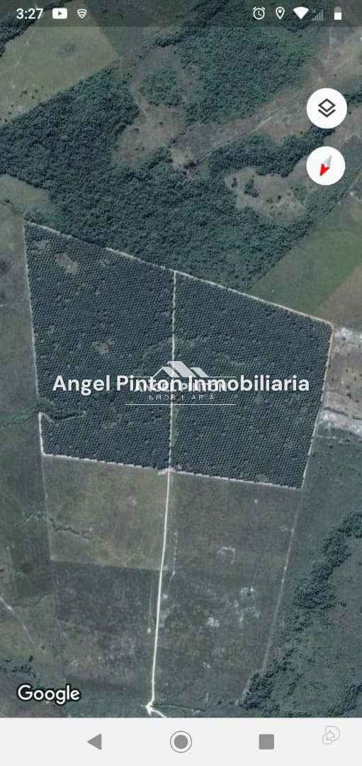 Finca en Via a Perija, Machiques – 12