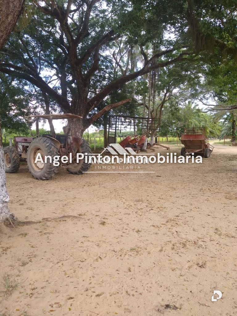 Finca en Via a Perija, Machiques – 31