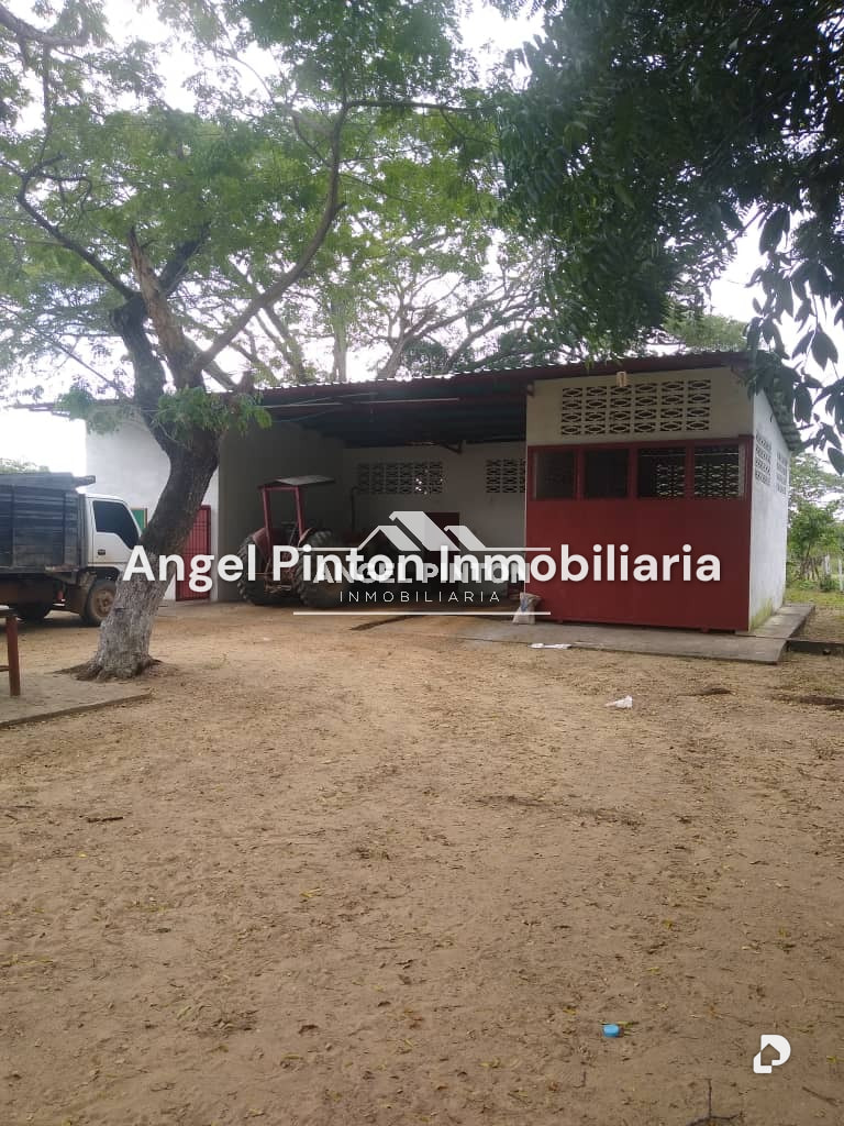 Finca en Via a Perija, Machiques – 22