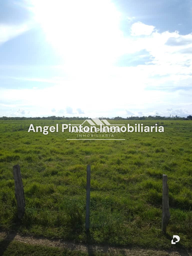 Finca en Via a Perija, Machiques – 5