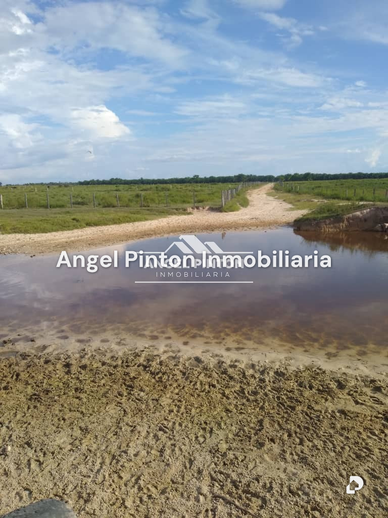 Finca en Via a Perija, Machiques – 8