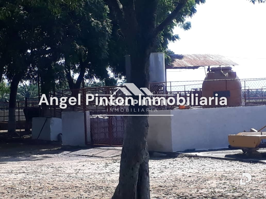 Finca en Via a Perija, Machiques – 7