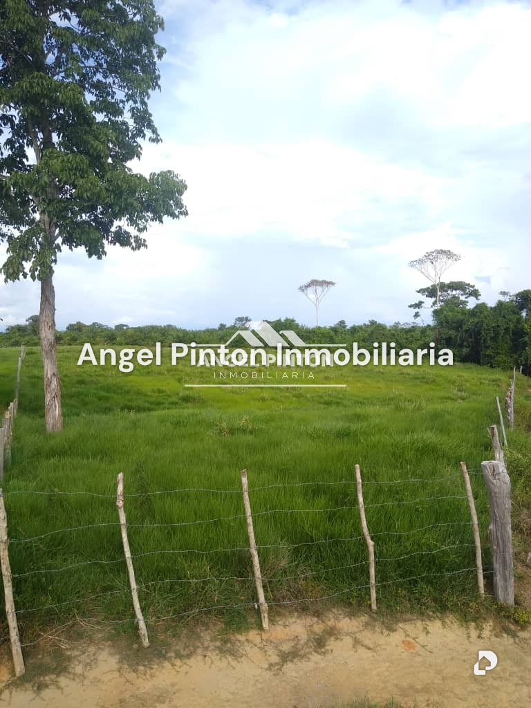 Finca en Via a Perija, Machiques – 9