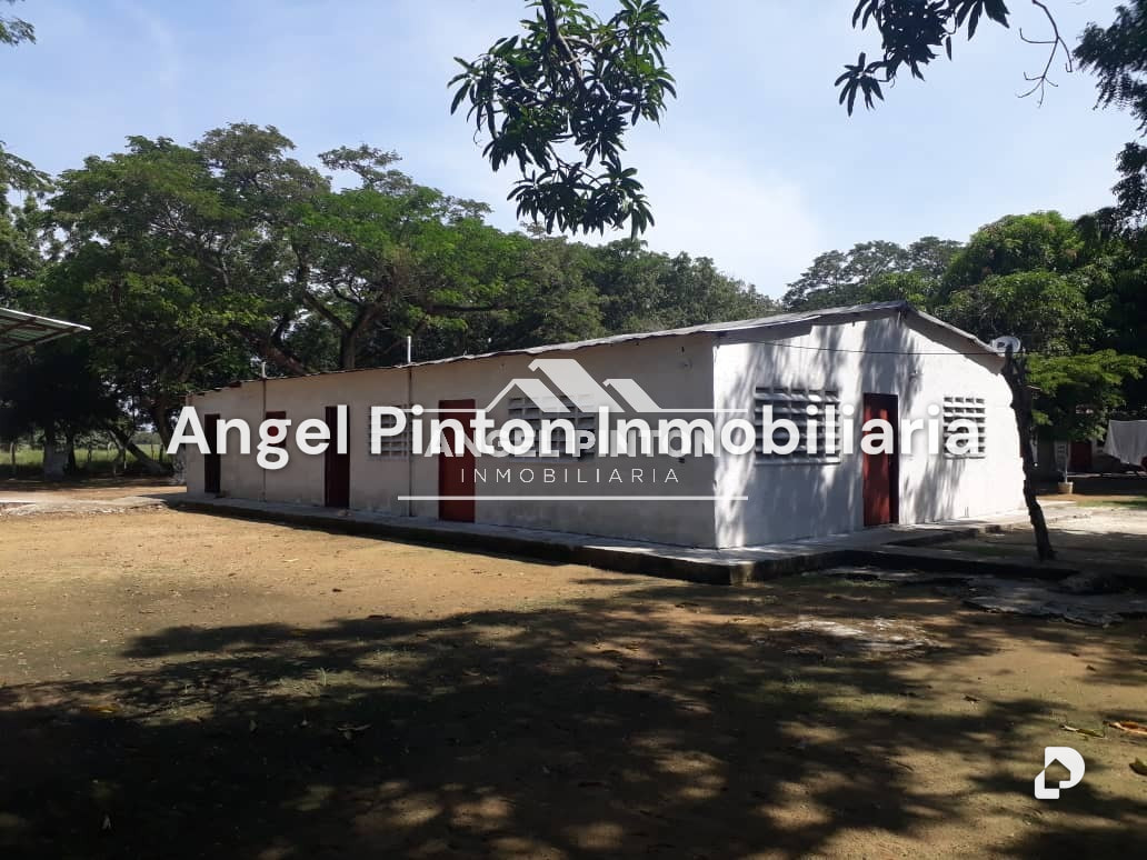 Finca en Via a Perija, Machiques – 6
