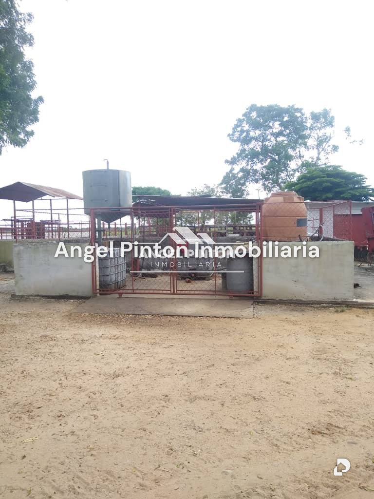 Finca en Via a Perija, Machiques – 21