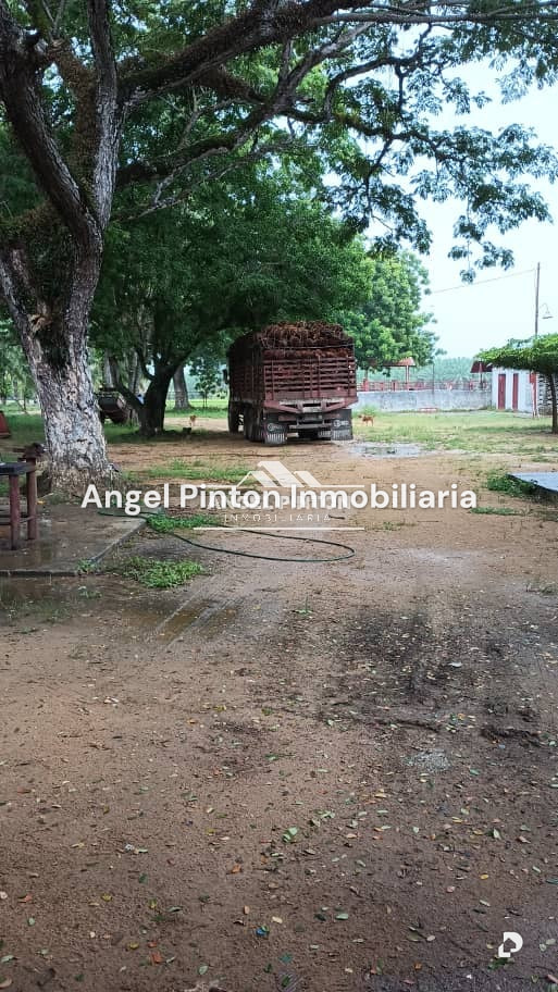 Finca en Via a Perija, Machiques – 16