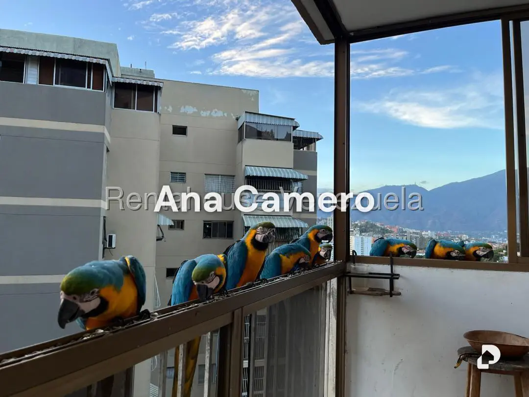 Apartamento en Terrazas del Club Hípico, Caracas – 7