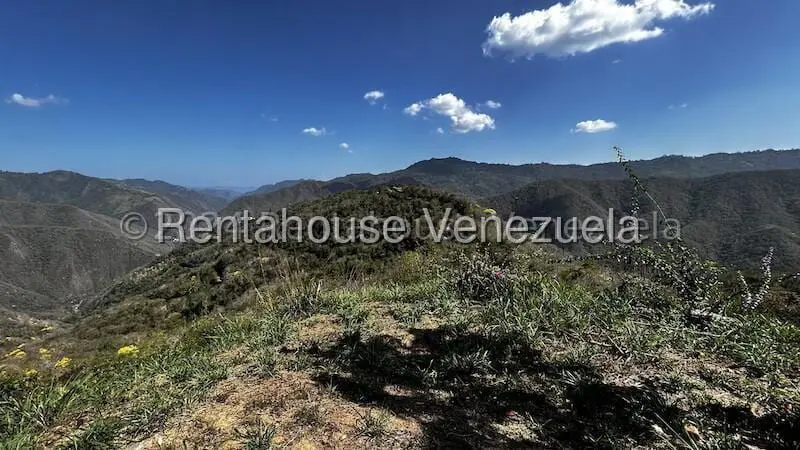 Terreno en Caicaguana, Caracas - 1