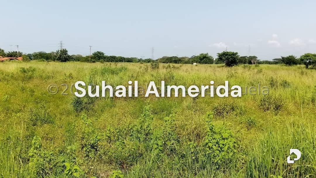 Terreno en Flor Amarillo, Valencia – 6