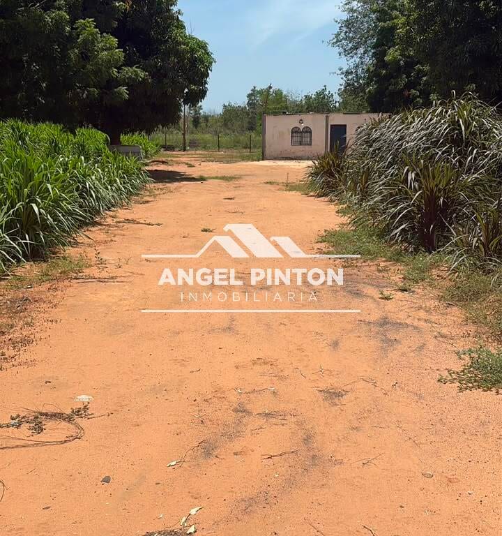 Terreno en Via Palito Blanco, Maracaibo - 1