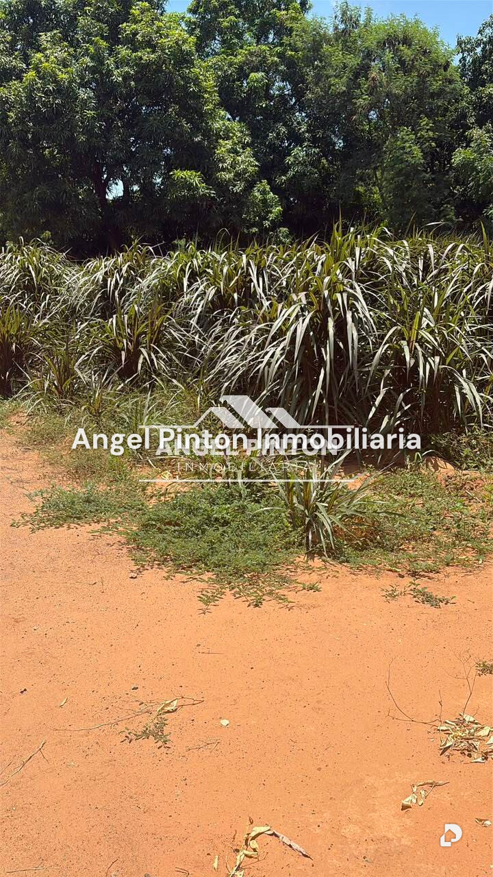 Terreno en Via Palito Blanco, Maracaibo – 3