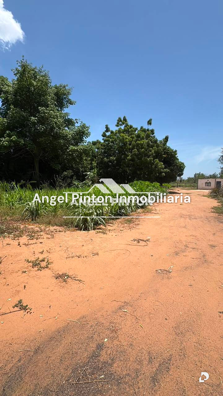 Terreno en Via Palito Blanco, Maracaibo – 4