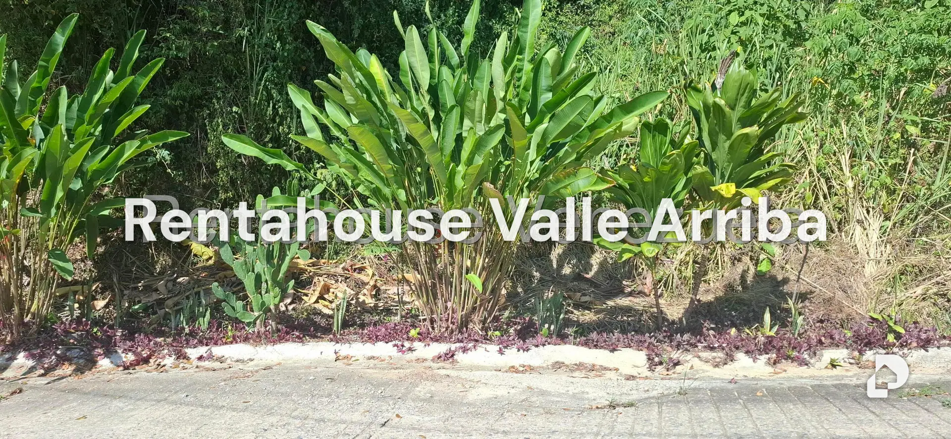 Terreno en El Hatillo, Caracas – 5