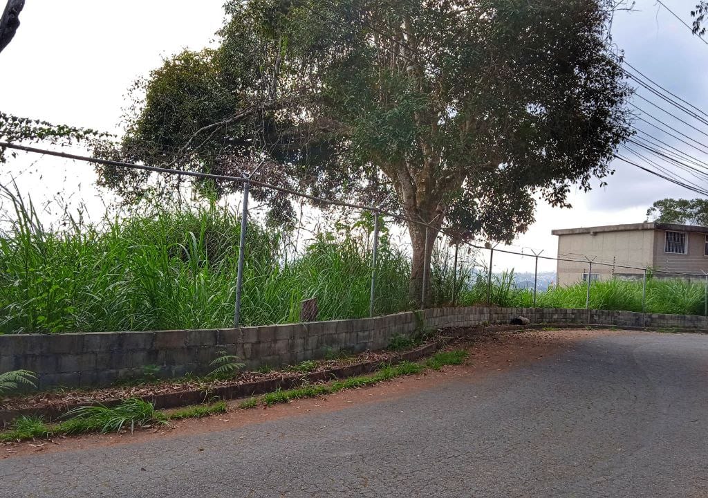 Terreno en La Morita, Altos Mirandinos - 1