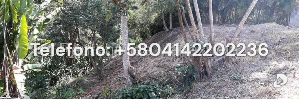 Terreno en Parque Oripoto, Caracas – 7