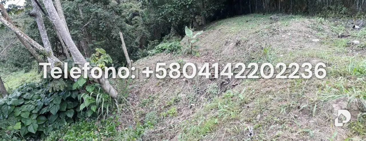 Terreno en Parque Oripoto, Caracas – 13