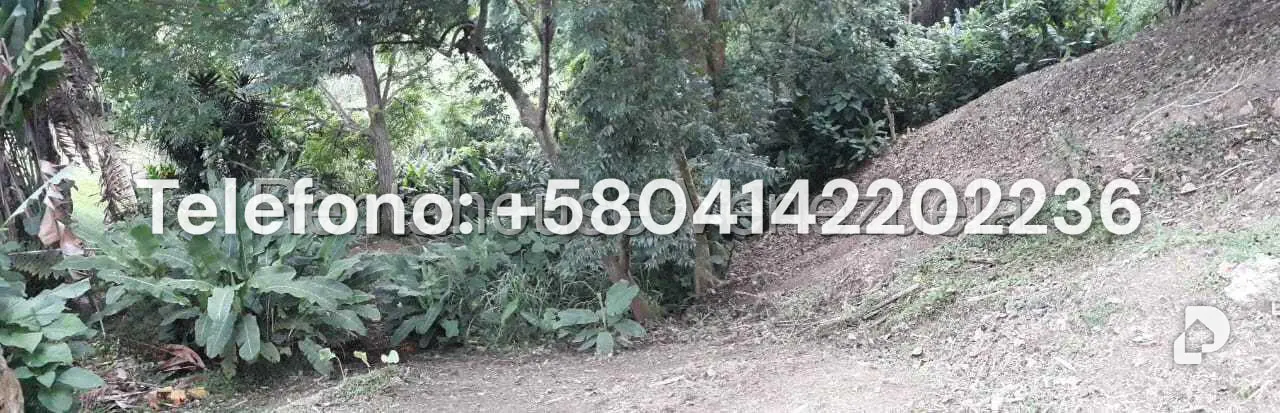 Terreno en Parque Oripoto, Caracas – 18