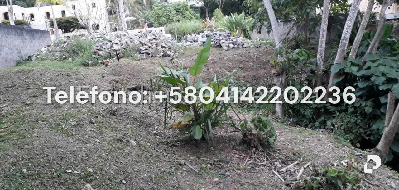 Terreno en Parque Oripoto, Caracas – 17
