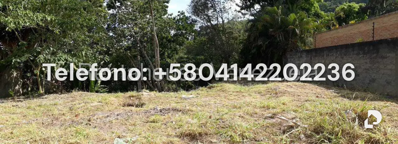 Terreno en Parque Oripoto, Caracas – 20