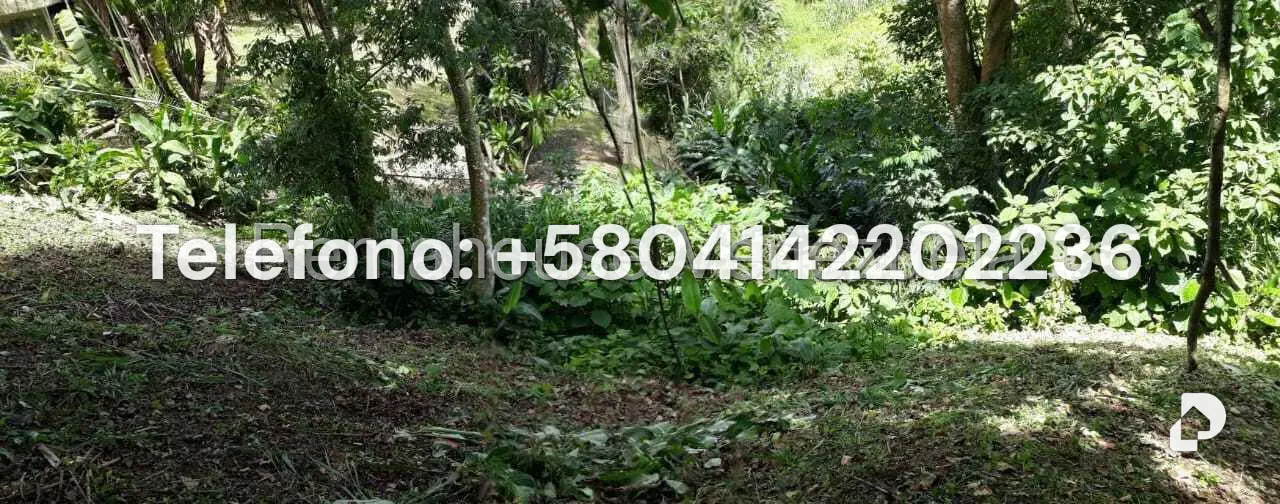 Terreno en Parque Oripoto, Caracas – 16