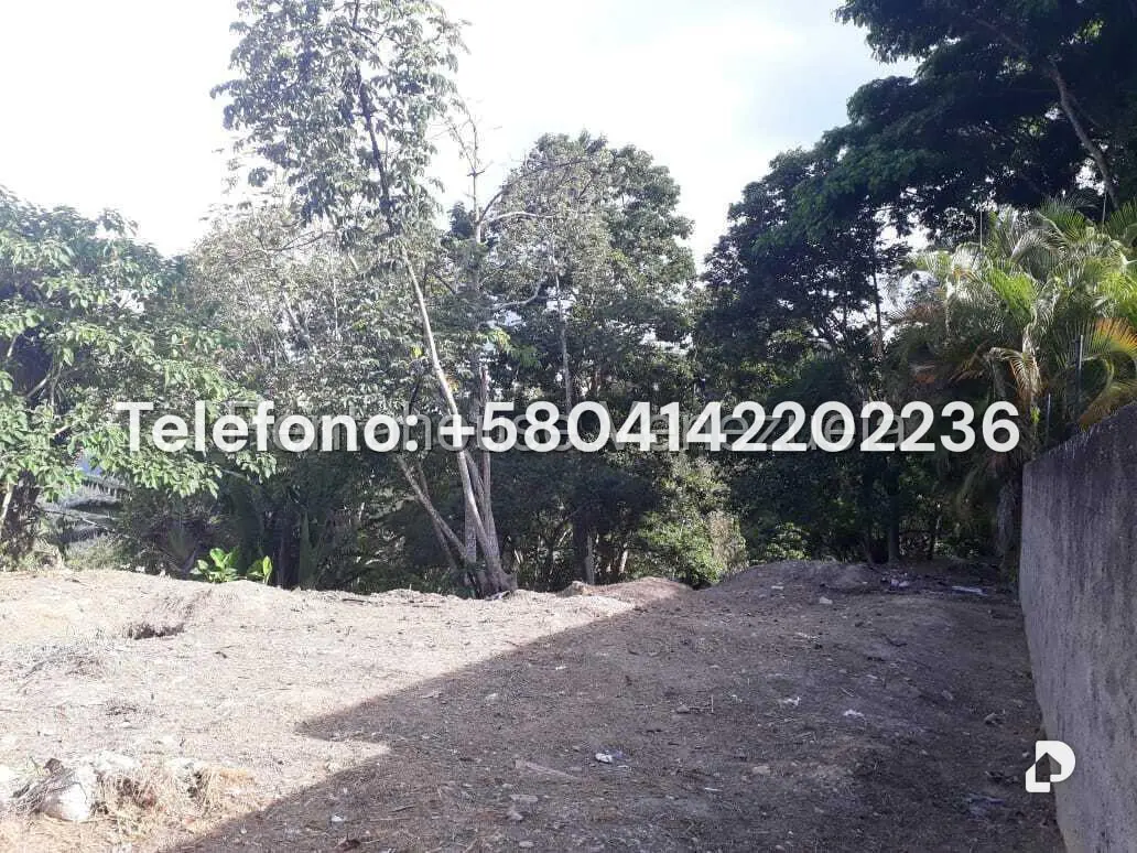 Terreno en Parque Oripoto, Caracas – 5