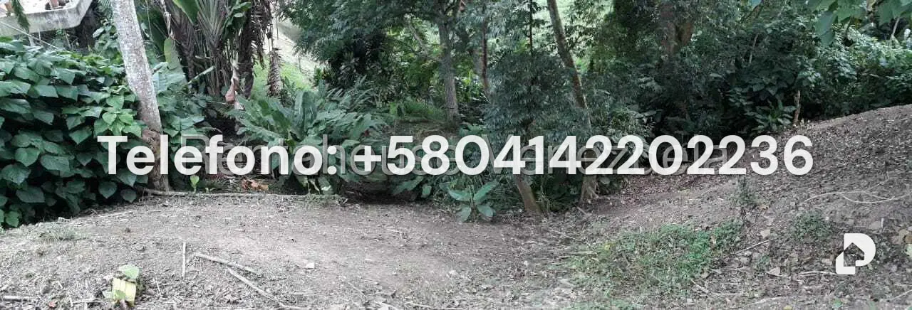 Terreno en Parque Oripoto, Caracas – 15