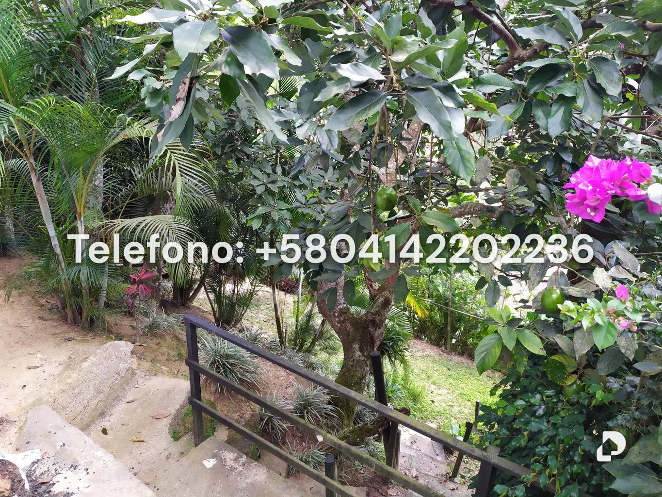 Casa en La Lagunita Country Club, Caracas – 109