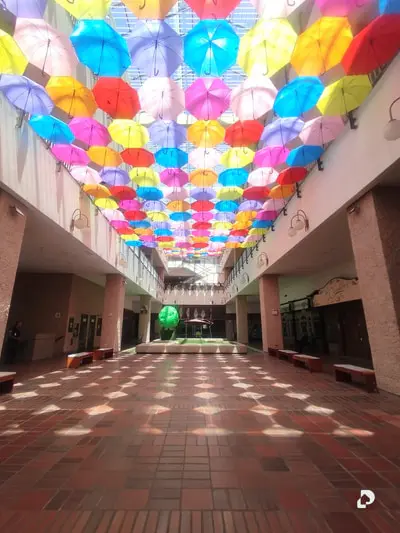 Local comercial en Prados del Este, Caracas – 3