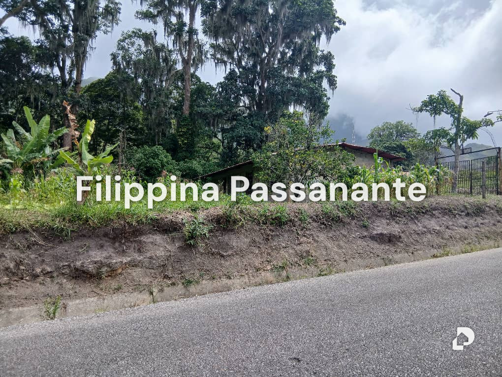 House in Sabana de Piedra, Caripe – 2