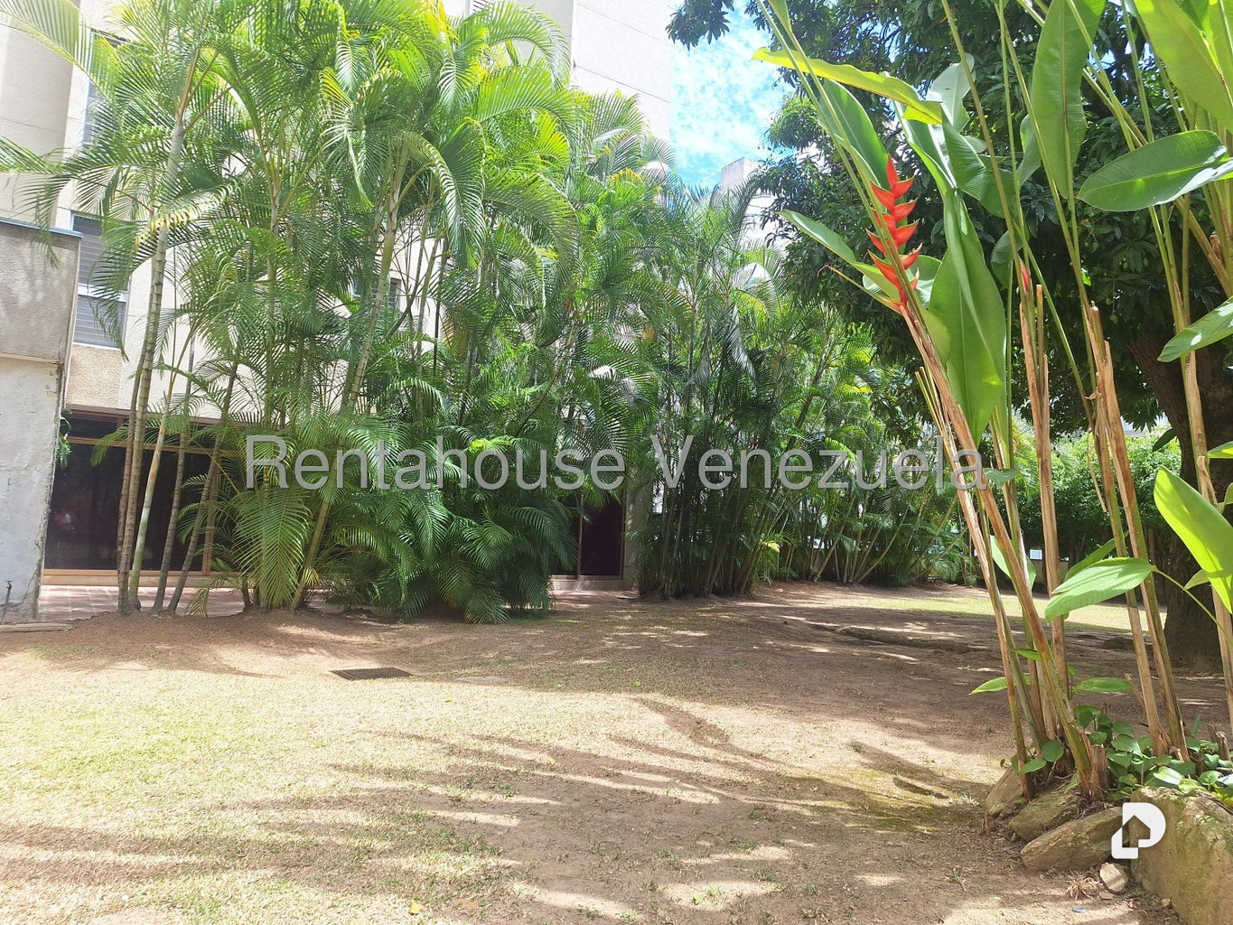 Apartamento en Los Palos Grandes, Caracas – 6